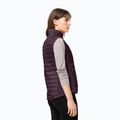 Jack Wolfskin Routeburn Pro Ins moteriškos žygio kelnės be rankovių violetinės spalvos 1207201_2042_005 2
