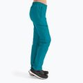 Jack Wolfskin moteriškos softshello kelnės Geigelstein blue 1507731 3