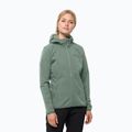 Moteriška softshell striukė Jack Wolfskin Bornberg Hoody žalia 1307691