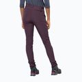 Jack Wolfskin moteriškos softshello kelnės Geigelstein Slim bordo spalvos 1507741 2