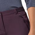 Jack Wolfskin moteriškos softshello kelnės Geigelstein Slim bordo spalvos 1507741 3