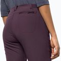 Jack Wolfskin moteriškos softshello kelnės Geigelstein Slim bordo spalvos 1507741 4