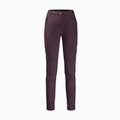 Jack Wolfskin moteriškos softshello kelnės Geigelstein Slim bordo spalvos 1507741 5
