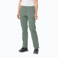 Moteriškos softshello kelnės Jack Wolfskin Glastal Zip Off green 1508151_4151_042