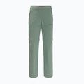 Moteriškos softshello kelnės Jack Wolfskin Glastal Zip Off green 1508151_4151_042 5