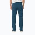 Vyriškos softshello kelnėsJack Wolfskin Glastal Zip Away navy blue 1508301 2