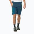 Vyriškos softshello kelnėsJack Wolfskin Glastal Zip Away navy blue 1508301 3