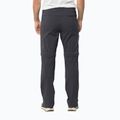 Vyriškos minkštos kelnės Jack Wolfskin Glastal Zip Away pilka 1508301 2