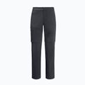 Vyriškos minkštos kelnės Jack Wolfskin Glastal Zip Away pilka 1508301 6