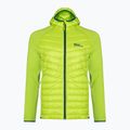 Jack Wolfskin vyriška Routeburn Pro Hybrid striukė žalia 1710511 5