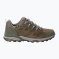 Vyriški žygio batai Jack Wolfskin Refugio Texapore Low cold coffee 9