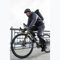 Vyriški žygio batai Jack Wolfskin Woodland 2 Texapore Low black 12