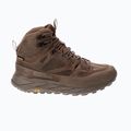 Vyriški žygio batai Jack Wolfskin Terraquest Texapore Mid bear 10