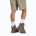 Vyriški žygio batai Jack Wolfskin Terraquest Texapore Mid bear 16