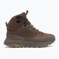 Vyriški žygio batai Jack Wolfskin Terraquest Texapore Mid bear 2