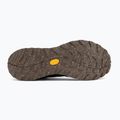 Vyriški žygio batai Jack Wolfskin Terraquest Texapore Low gecko bear 4