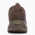 Vyriški žygio batai Jack Wolfskin Terraquest Texapore Low gecko bear 6