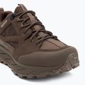 Vyriški žygio batai Jack Wolfskin Terraquest Texapore Low gecko bear 7