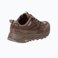 Vyriški žygio batai Jack Wolfskin Terraquest Texapore Low gecko bear 2