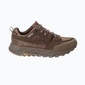 Vyriški žygio batai Jack Wolfskin Terraquest Texapore Low gecko bear 3