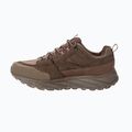Vyriški žygio batai Jack Wolfskin Terraquest Texapore Low gecko bear 4