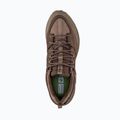Vyriški žygio batai Jack Wolfskin Terraquest Texapore Low gecko bear 5