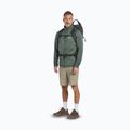 Vyriški žygio batai Jack Wolfskin Terraquest Texapore Low gecko bear 8