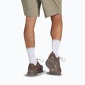 Vyriški žygio batai Jack Wolfskin Terraquest Texapore Low gecko bear 9