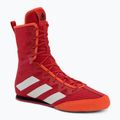 Vyriški adidas Box Hog 4 red GW1403 bokso bateliai