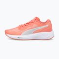 PUMA Aviator Profoam Sky 12 bėgimo bateliai rožinės spalvos 376615 12 10