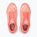 PUMA Aviator Profoam Sky 12 bėgimo bateliai rožinės spalvos 376615 12 11