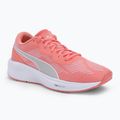 PUMA Aviator Profoam Sky 12 bėgimo bateliai rožinės spalvos 376615 12