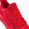 Vyriški bėgimo bateliai PUMA Transport Modern red 377030 05 10