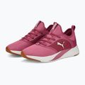 Moteriški bėgimo bateliai PUMA Softride Ruby pink 377050 04 11