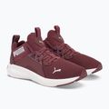 Moteriški bėgimo bateliai PUMA Softride Enzo Nxt maroon 195235 17 4