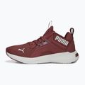 Moteriški bėgimo bateliai PUMA Softride Enzo Nxt maroon 195235 17 11