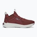 Moteriški bėgimo bateliai PUMA Softride Enzo Nxt maroon 195235 17 12