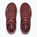 Moteriški bėgimo bateliai PUMA Softride Enzo Nxt maroon 195235 17 14