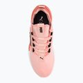 Moteriški bėgimo bateliai PUMA Retaliate Mesh rose dust/hibiscus flower/puma black 6