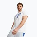 Vyriški PUMA Performance Training marškinėliai Graphic white 523236 02 3