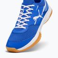 Vyriški kambariniai sportiniai bateliai PUMA Varion II puma team royal/puma white/gum 12