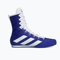 Bokso bateliai adidas Box Hog 4 navy blue HP9612 10
