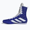 Bokso bateliai adidas Box Hog 4 navy blue HP9612 11