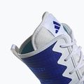 Bokso bateliai adidas Box Hog 4 navy blue HP9612 15
