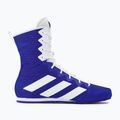 Bokso bateliai adidas Box Hog 4 navy blue HP9612 2