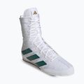 Bokso bateliai adidas Box Hog 4 cloud white/collegiate green/core black