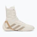 Bokso bateliai adidas Speedex 23 off white/beige/warm sandstone 2