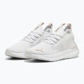 Moteriški bėgimo batai PUMA Softride Symmetry Fuzion Feather gray/mauve mist/rose gold