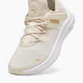 Moteriški batai PUMA Softride One4All Femme alpine snow/puma white/gold 12