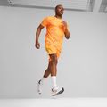 Vyriški bėgimo bateliai PUMA Velocity Nitro 3 puma white/sun stream 14